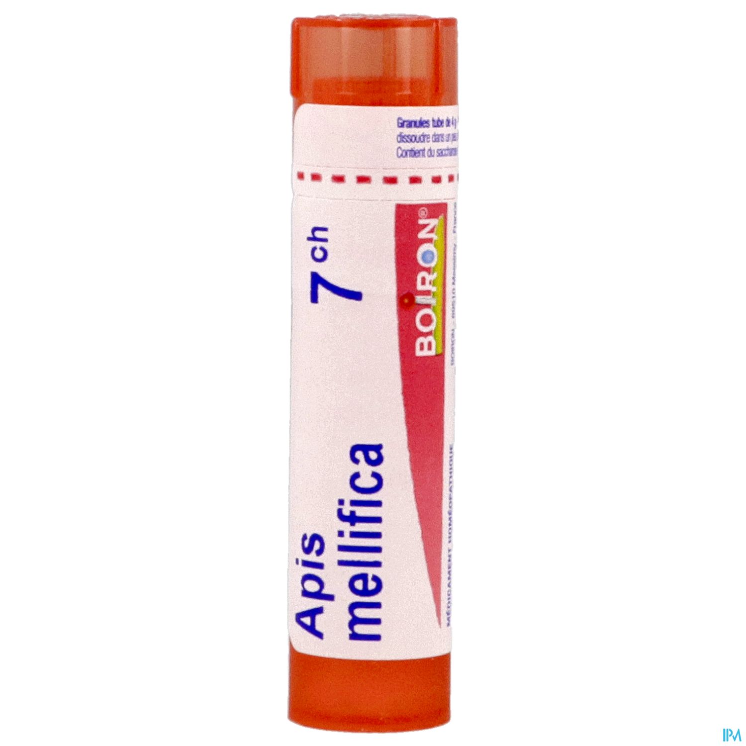 APIS MELLIFICA 7CH TG B APIS MELLIFICA 7CH TG B – Image 4