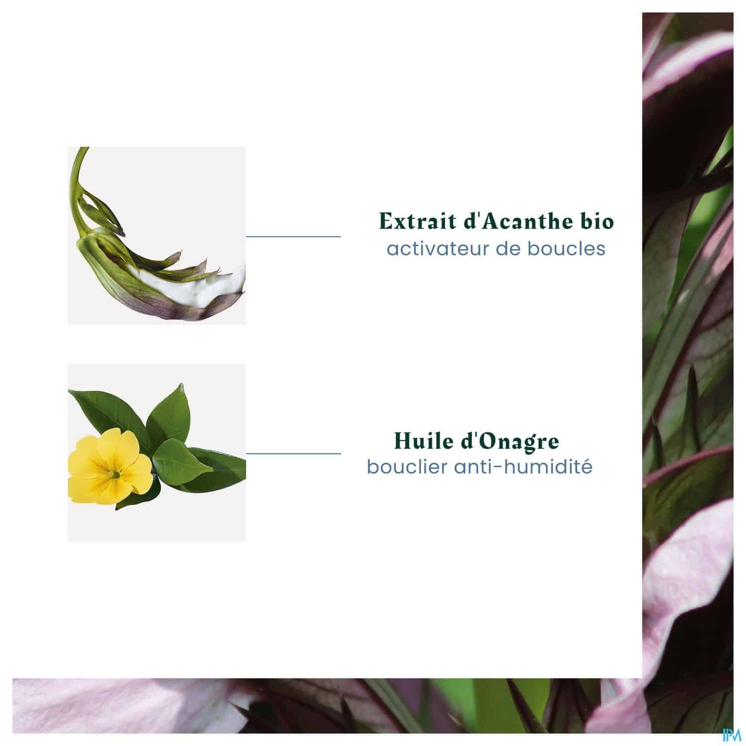 FURTERER SUBLIME CURL SHP 200ML FURTERER SUBLIME CURL SHP 200ML – Image 5